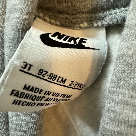 Nike Metallic Pullover Hoodie (Little Kids size 3T - Picture 2 of 4